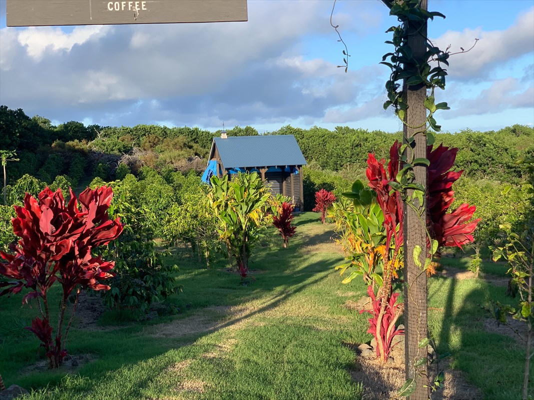 94-2102 South Point Road Naalehu, HI 96772 - Photo 20 of 25 Gallery Image 20