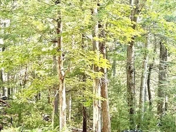 $5,850 | 20 Algonquin Road, Canton, MA 02021