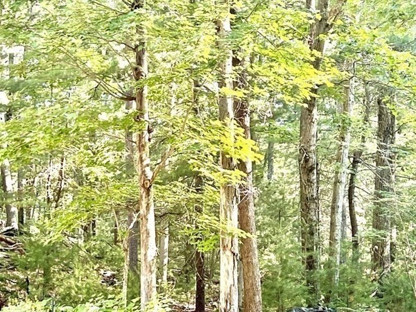 20 Algonquin Road Canton, MA 02021 - Photo 15 of 15