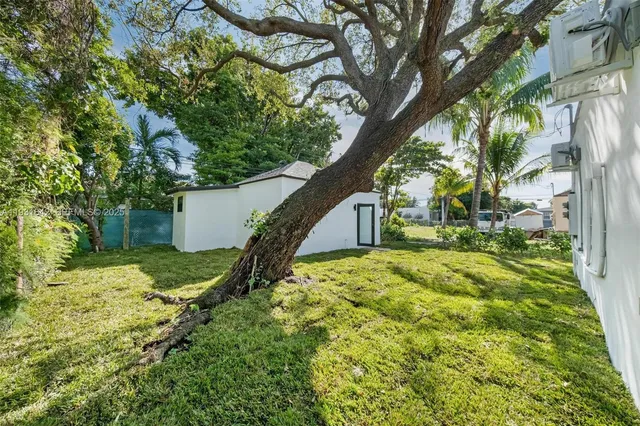 a view of a yard with plants and a large tree