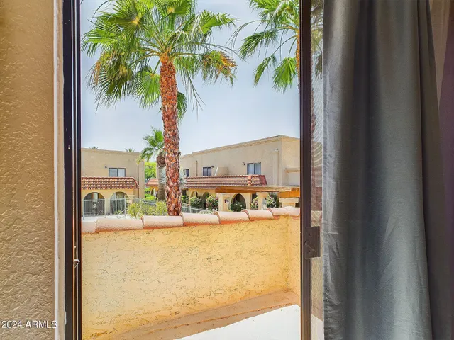 a view of a swimming pool with a lawn chairs under palm tree