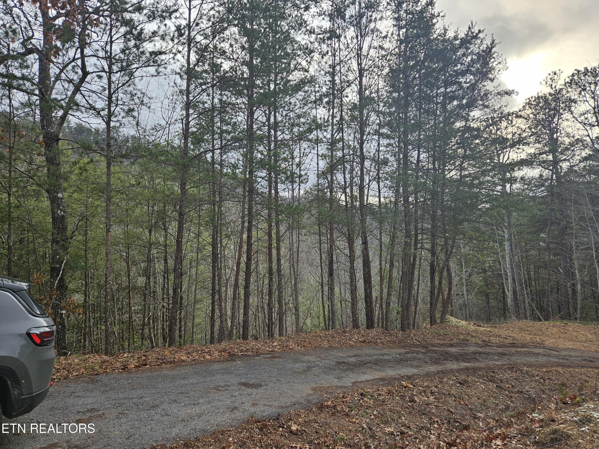 0 South Clear Frk Road Sevierville, TN 37862 - Photo 5 of 30 Gallery Image 5
