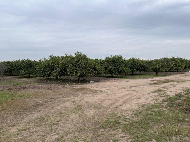 0 South Stewart Road San Juan, TX 78589 - Photo 14 of 14 a view of a field with trees in background