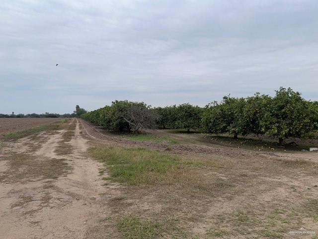 0 South Stewart Road San Juan, TX 78589 - Photo 7 of 14 a view of a field with trees in background