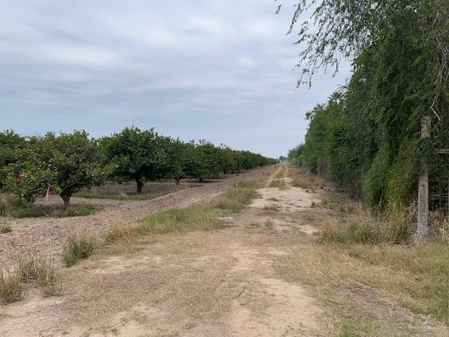 0 South Stewart Road San Juan, TX 78589 - Photo 8 of 14 a view of a dry yard with trees
