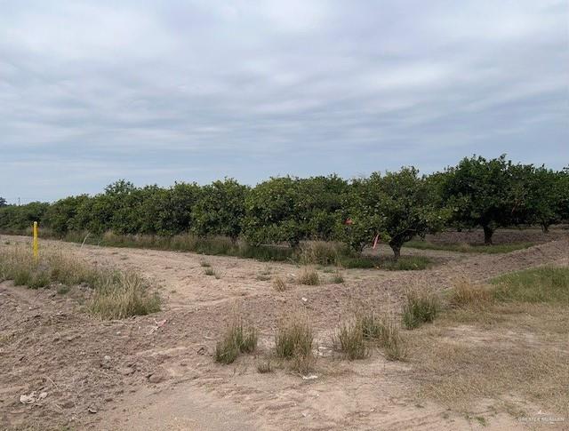 0 South Stewart Road San Juan, TX 78589 - Photo 9 of 14 a view of a field with trees in background