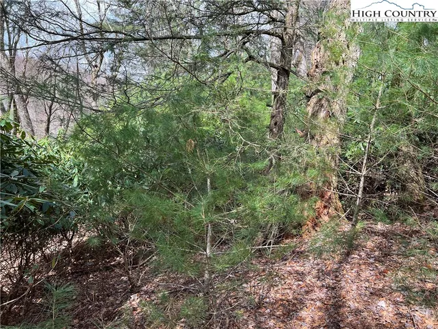 $140,000 | Lot 3 Cora's Path, Blowing Rock, NC 28605