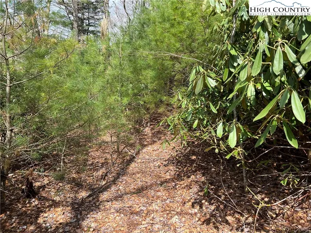 $140,000 | Lot 3 Cora's Path, Blowing Rock, NC 28605