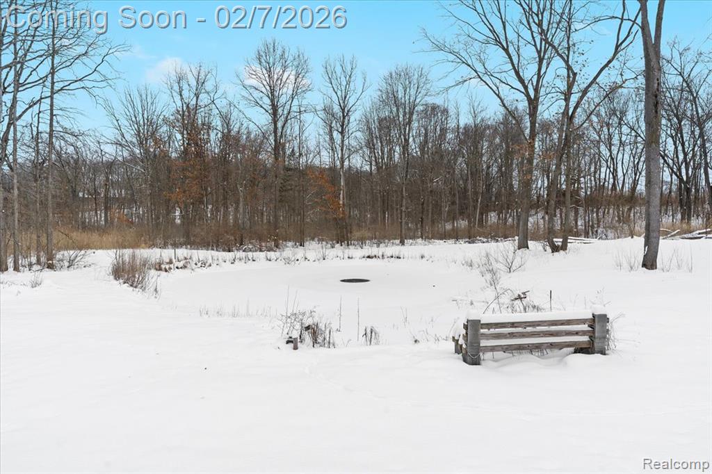 411 Rush Lake Road Pinckney, MI 48169 - Photo 39 of 56 Gallery Image 39