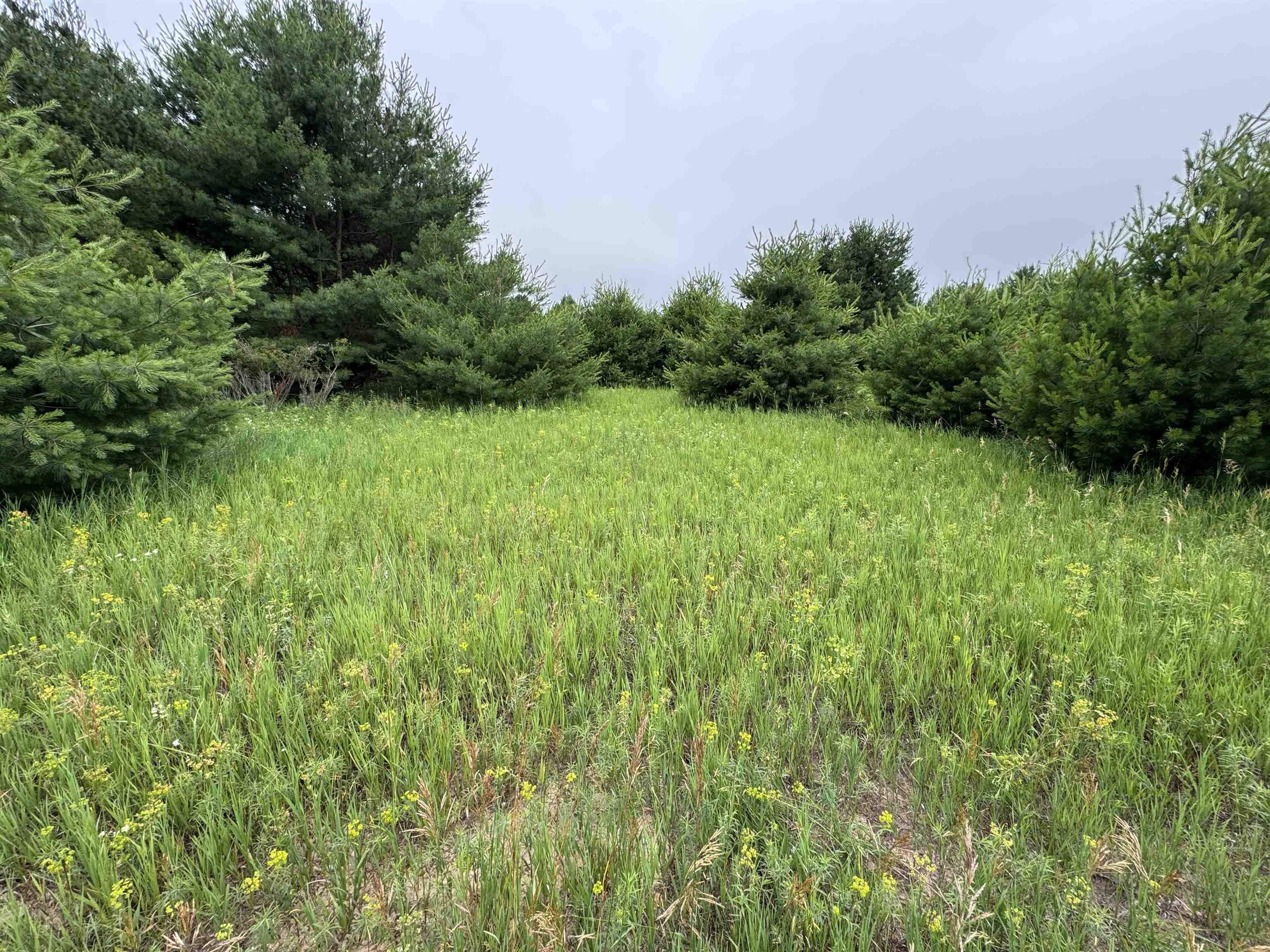 Lot #7 East Bellinger Road, Unit E HIGHLAND WOODS BELLIN Cedar, MI 49621 - Photo 6 of 20
