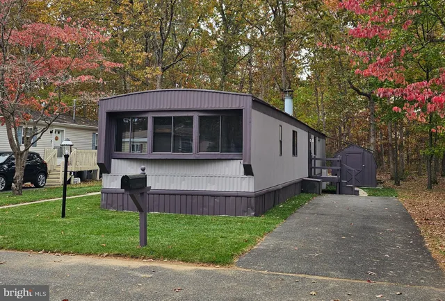 a view of a house with a yard plants and large tree