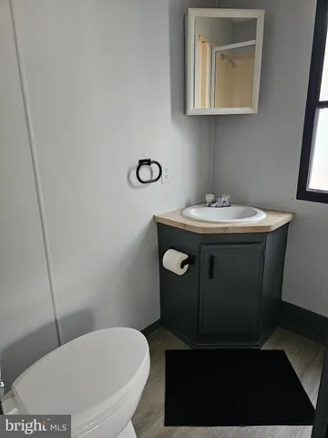 a bathroom with a sink toilet and mirror