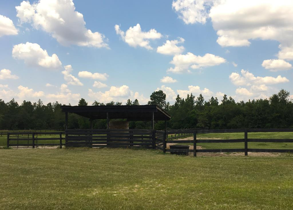 405 Cadle Crossing Road Windsor, SC 29856 - Photo 35 of 43