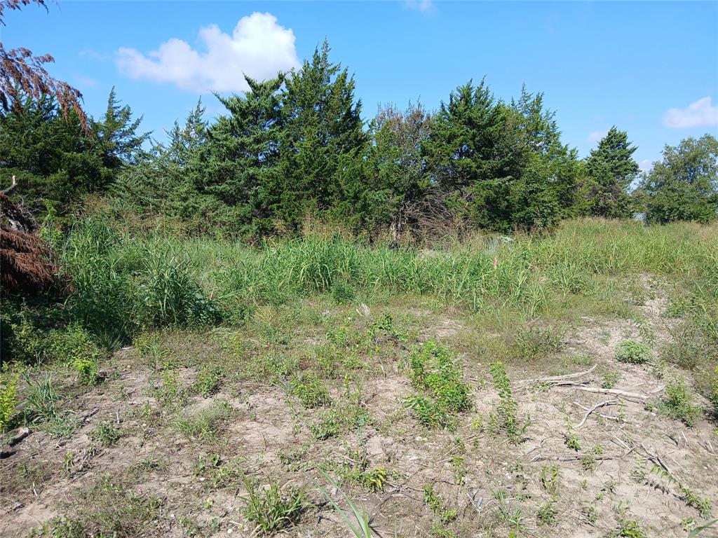 3360 Rd Hubbard Tx 76648 Road Hubbard, TX 76648 - Photo 5 of 13