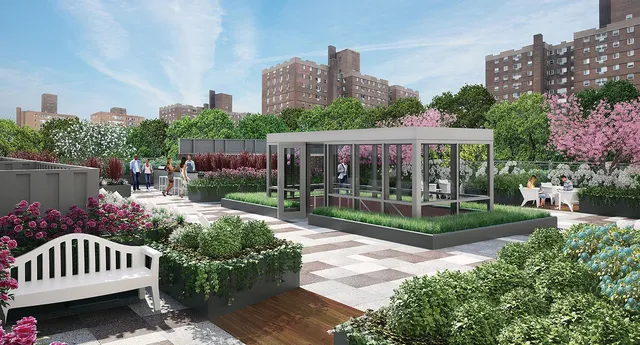 a view of a chair and table in the garden