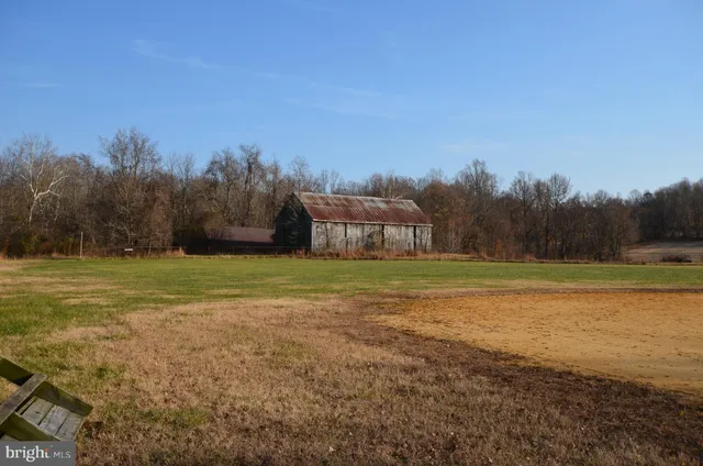 a view of a field with trees in the background