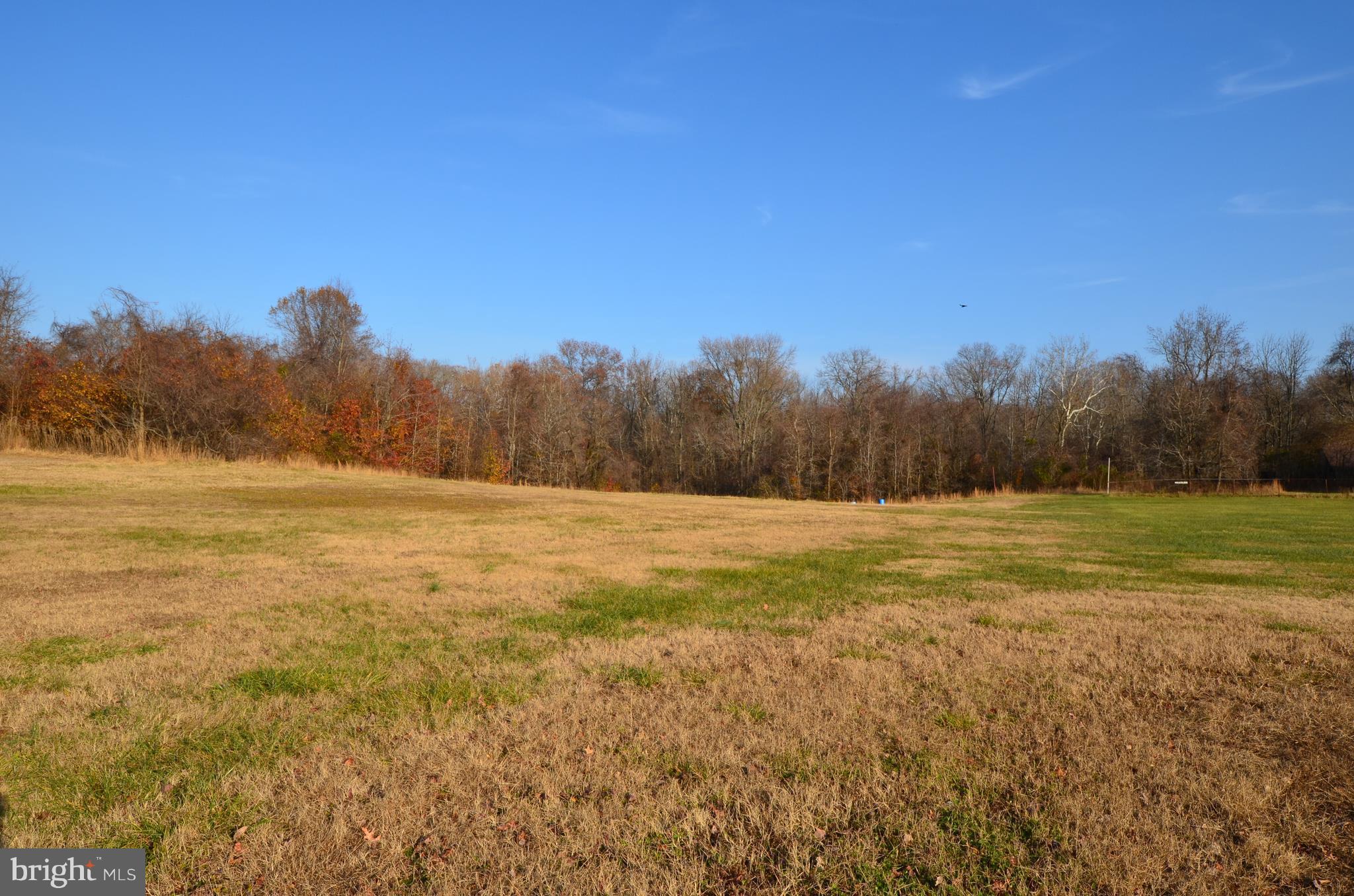 6095 Solomons Island Road Tracys Landing, MD 20779 - Photo 5 of 9 a view of beach and trees