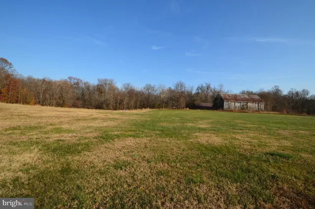 a view of an outdoor space and a yard