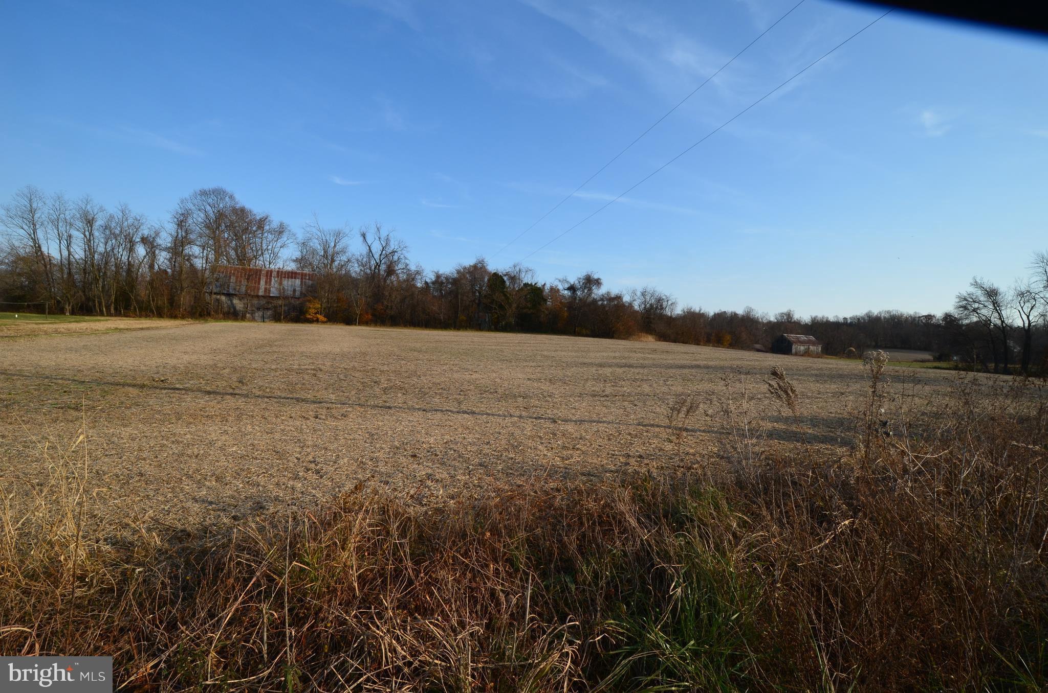 6095 Solomons Island Road Tracys Landing, MD 20779 - Photo 9 of 9 a view of a field with trees in background
