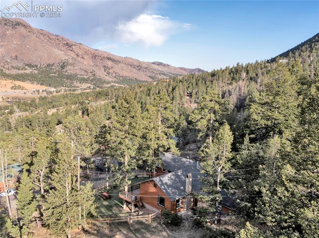 9560 Escondido Road Cascade, CO 80809 - Photo 50 of 50