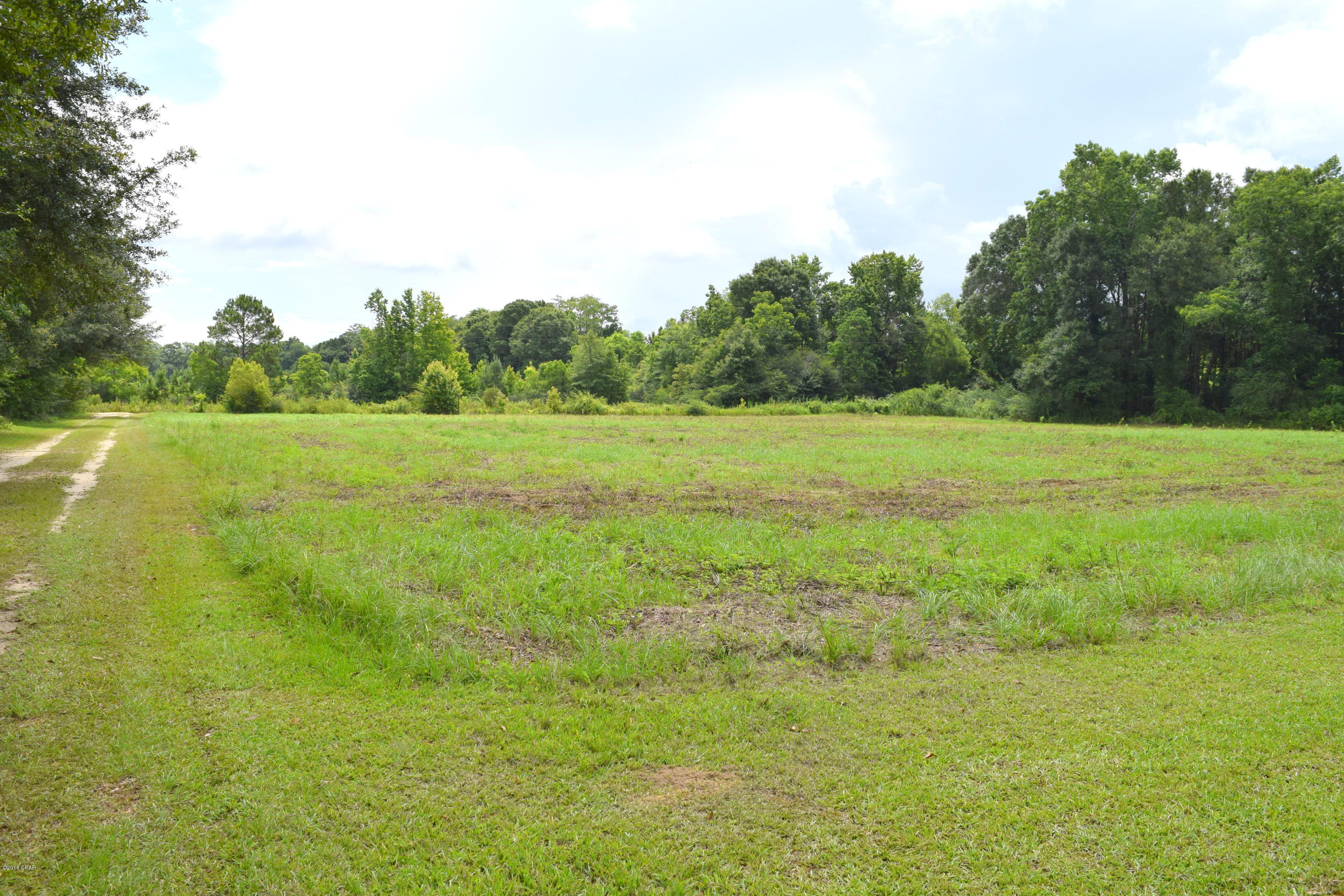 4781 Monday Road Graceville, FL 32440 - Photo 25 of 26