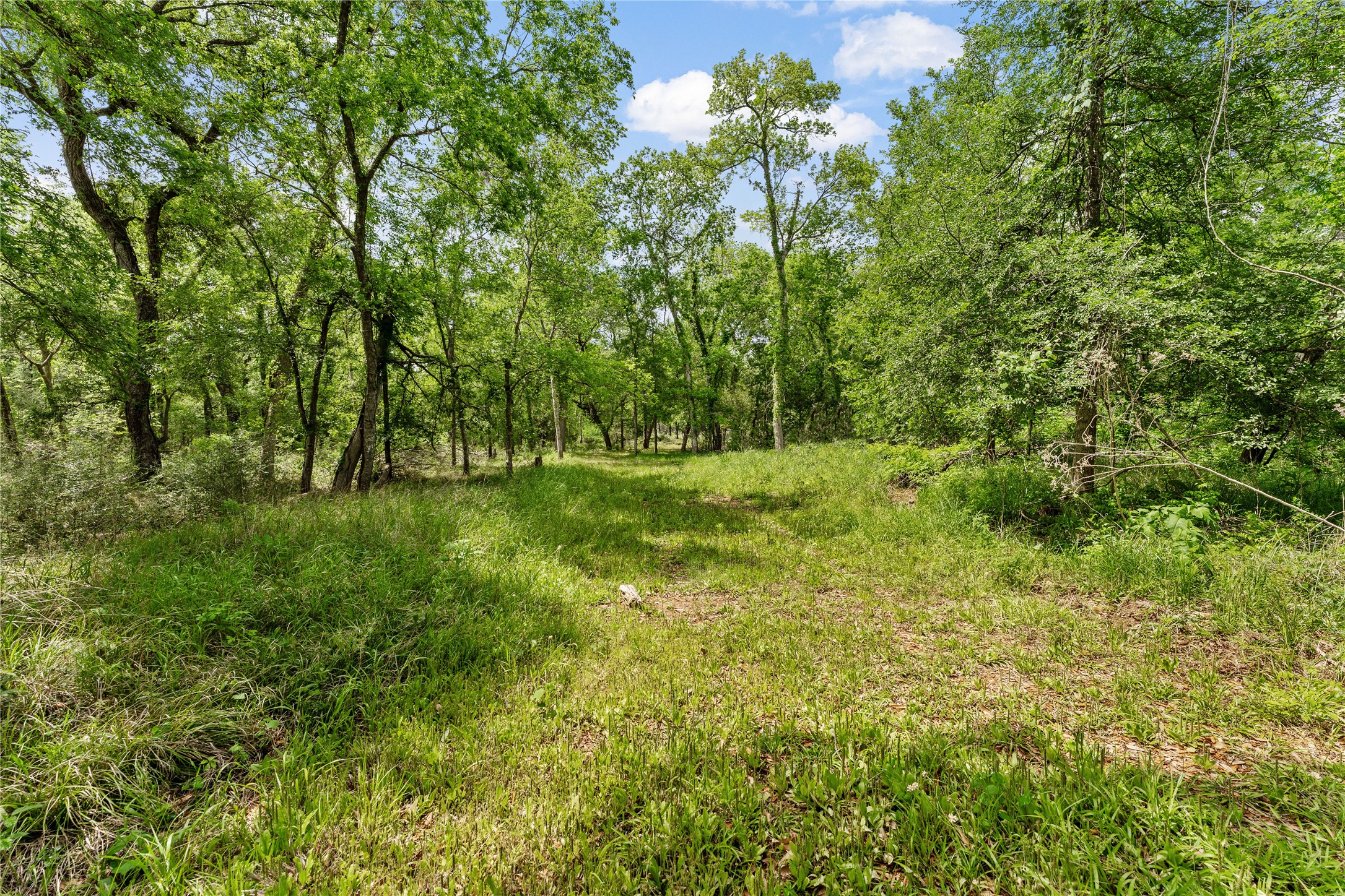 0 King's Oak Drive Damon, TX 77430 - Photo 2 of 29