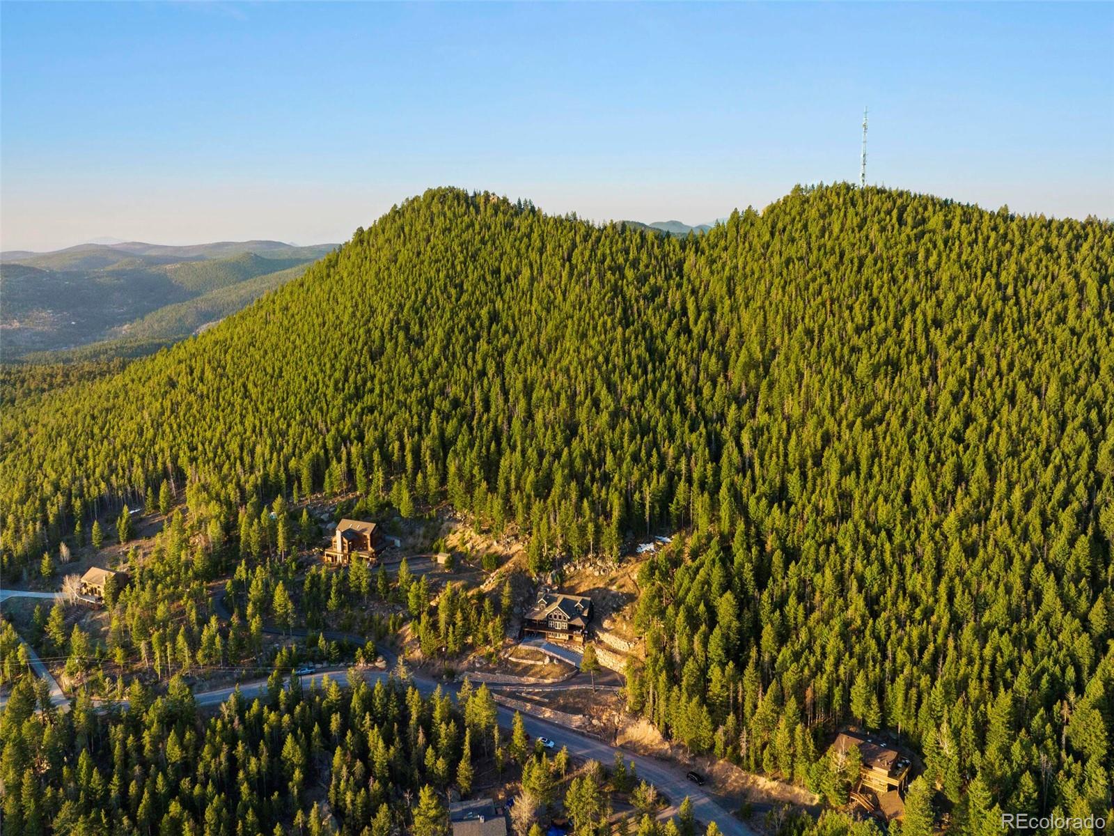 8335 Doubleheader Ranch Road Morrison, CO 80465 - Photo 35 of 40 a view of a large tree