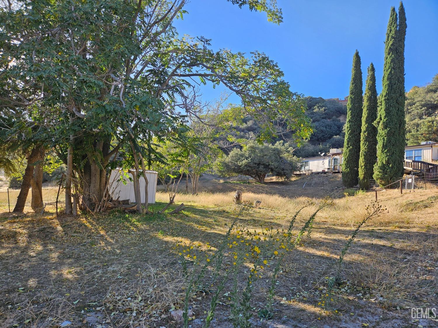 Undisclosed Address Lebec, CA 93243 - Photo 11 of 16 a view of a yard with plants and trees