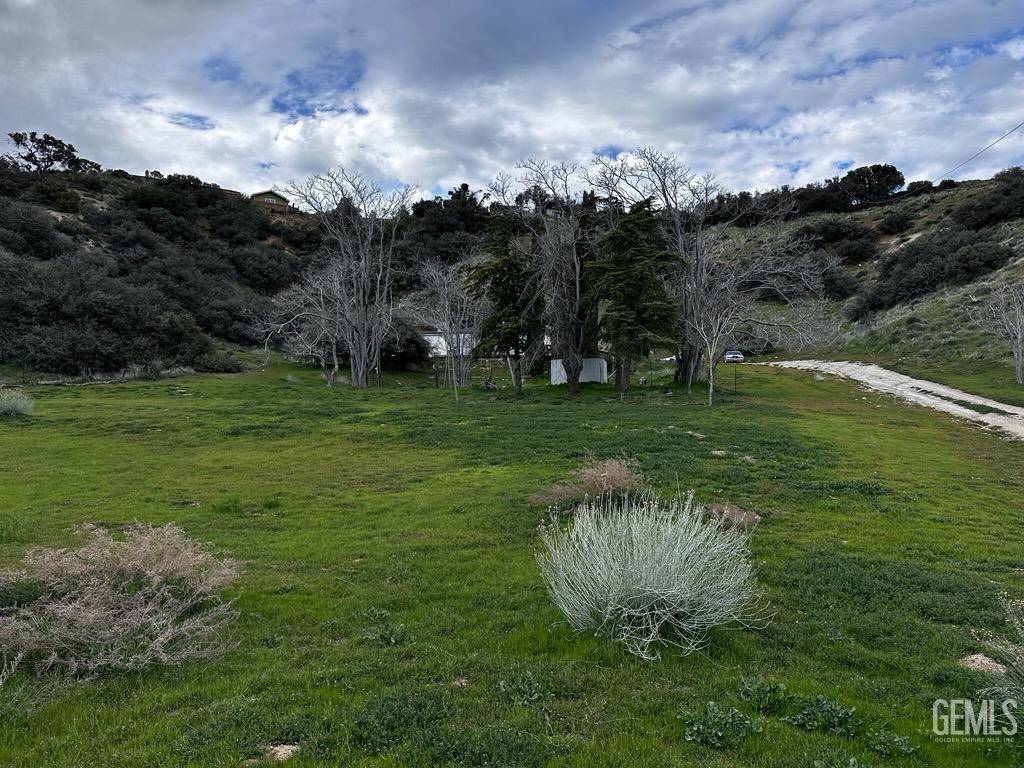 Undisclosed Address Lebec, CA 93243 - Photo 12 of 16 a swimming pool with trees in the background
