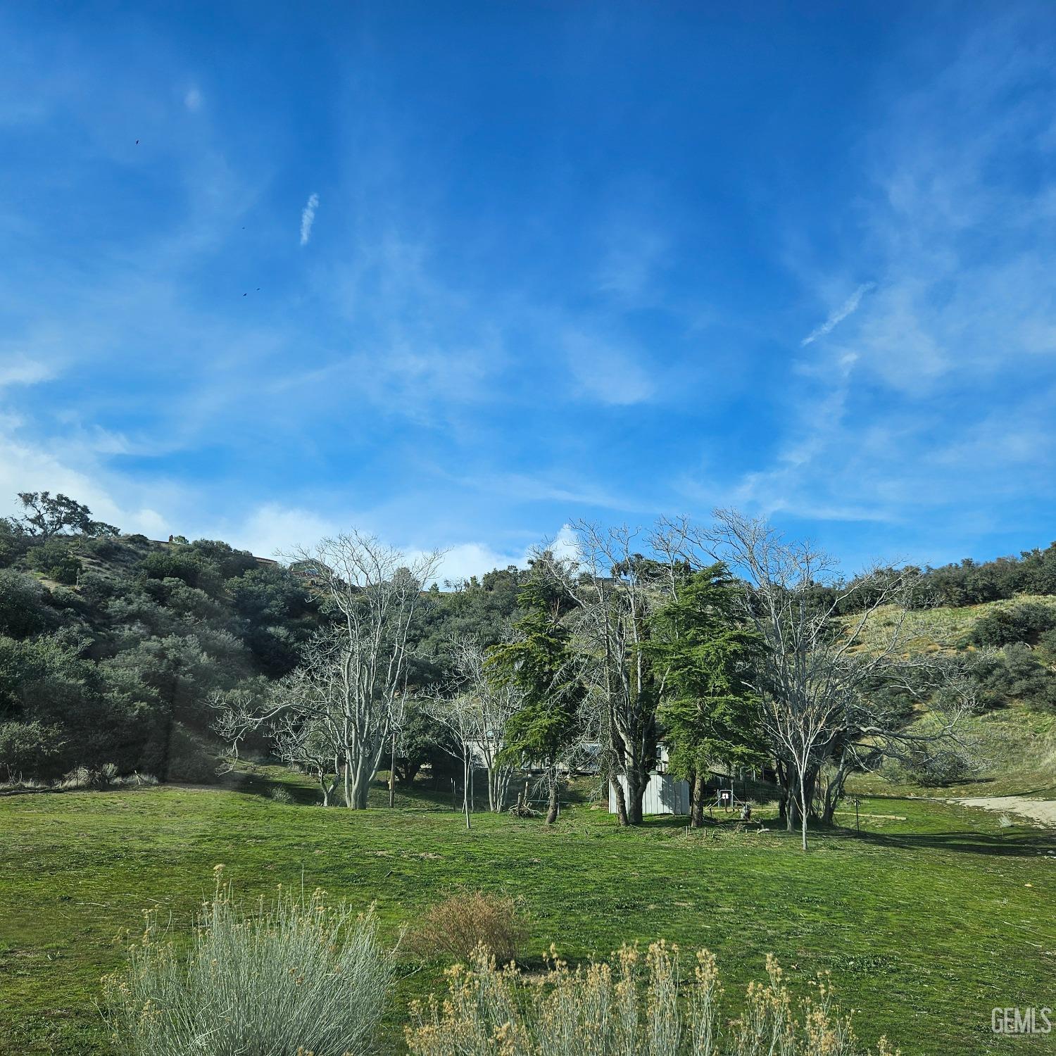 Undisclosed Address Lebec, CA 93243 - Photo 13 of 16 a view of a grassy field with trees