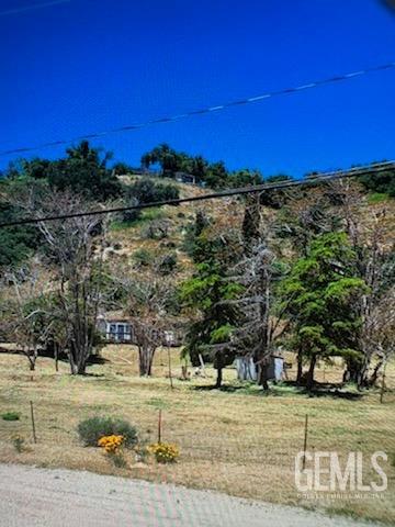 Undisclosed Address Lebec, CA 93243 - Photo 14 of 16 a view of a yard with an trees