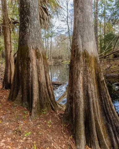 $450,000 | 14440 12th Street, Dade City, FL 33523