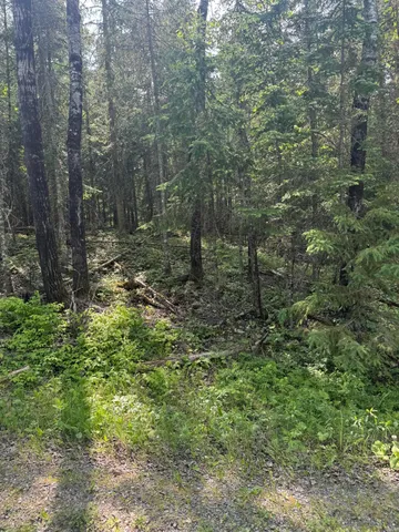 $495,000 | Xx3.64 Gamma Road, Kabetogama, MN 56669