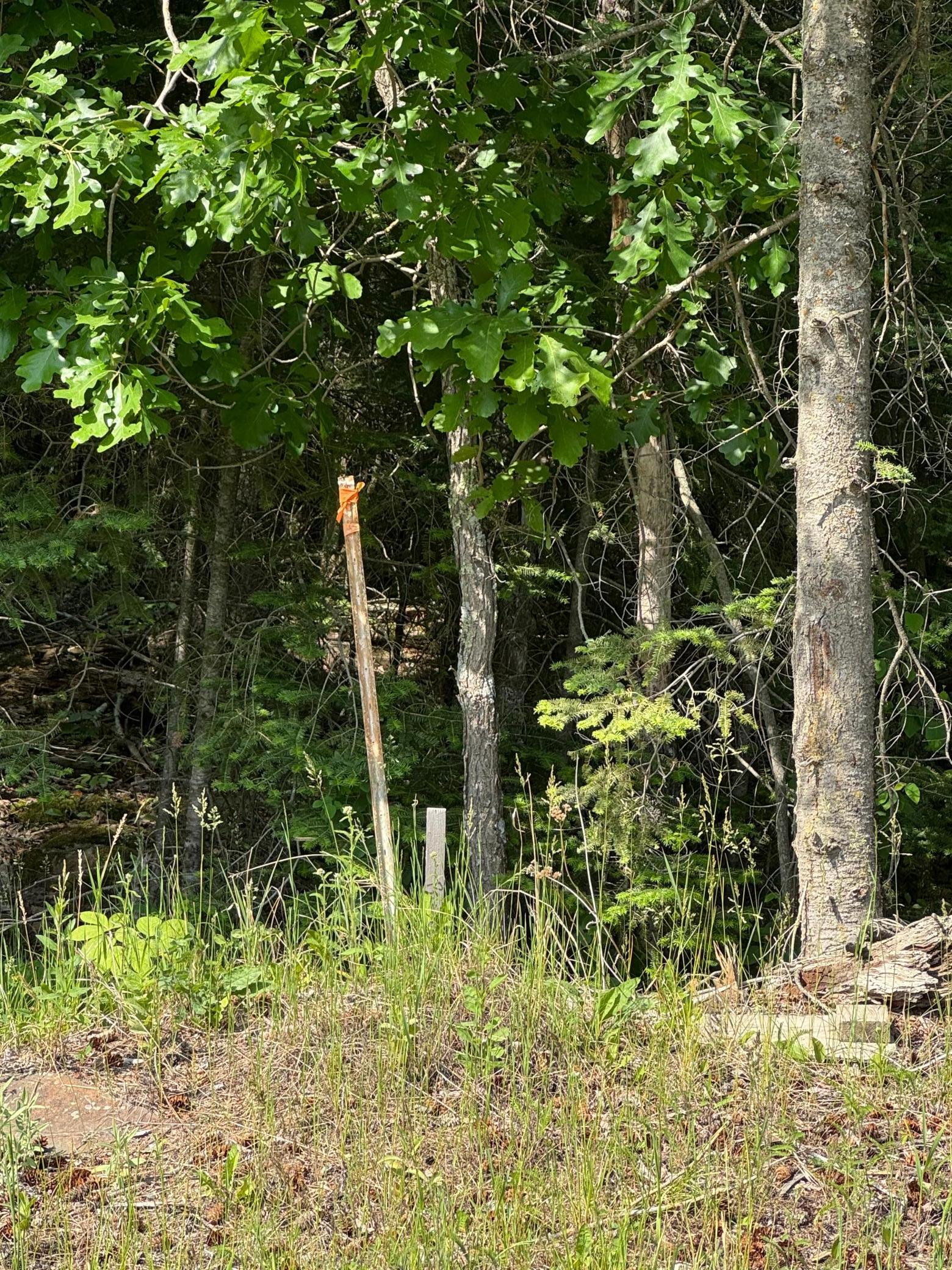 Xx3.64 Gamma Road Kabetogama, MN 56669 - Photo 7 of 19