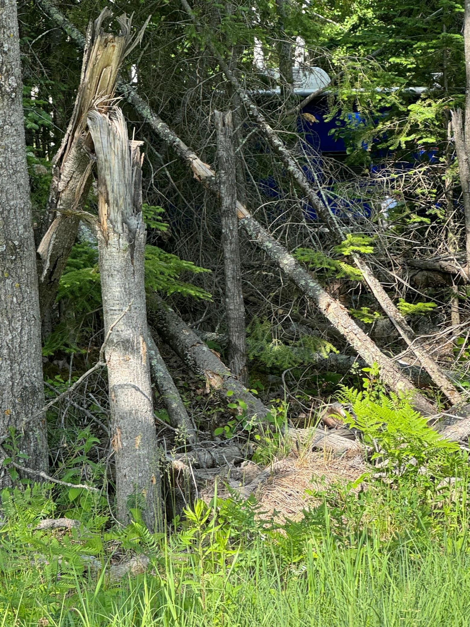 Xx3.64 Gamma Road Kabetogama, MN 56669 - Photo 8 of 19