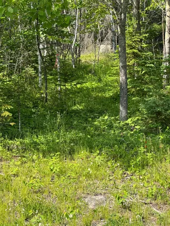 $495,000 | Xx3.64 Gamma Road, Kabetogama, MN 56669