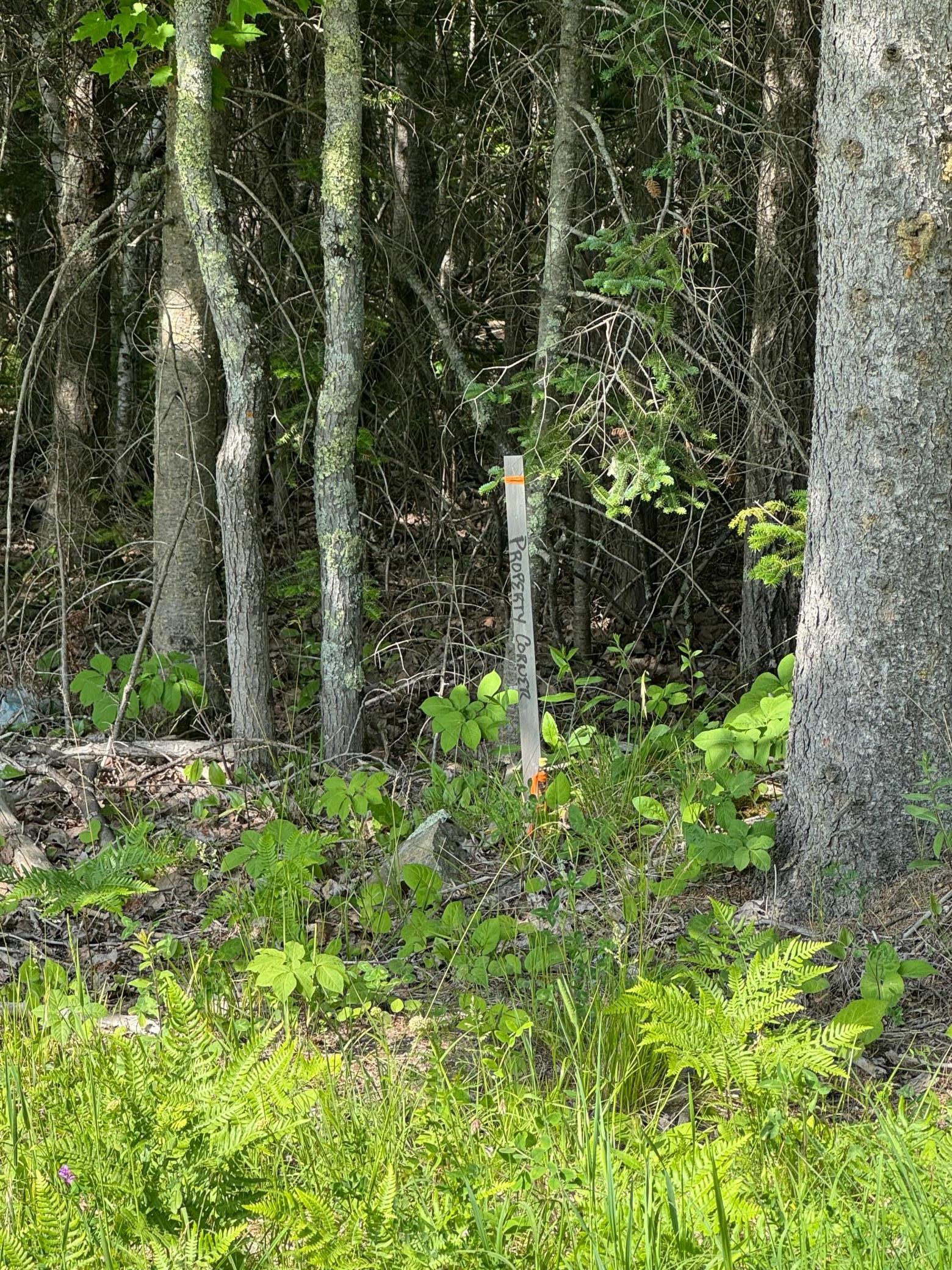 Xx3.64 Gamma Road Kabetogama, MN 56669 - Photo 10 of 19