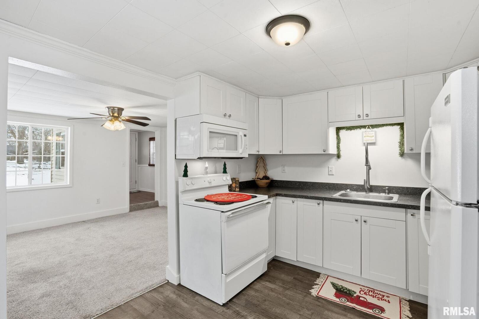 1015 7th Street Colona, IL 61241 - Photo 10 of 19 a kitchen with granite countertop a sink and cabinets
