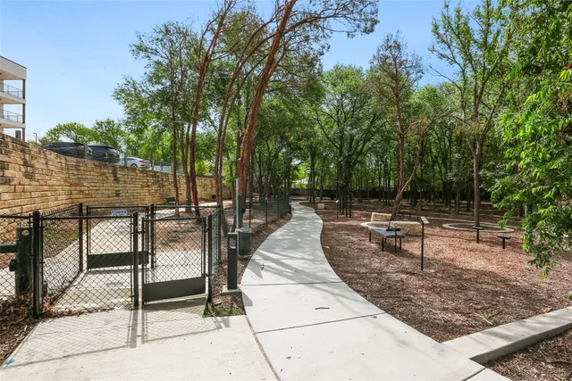 a view of a tree in the middle of a yard