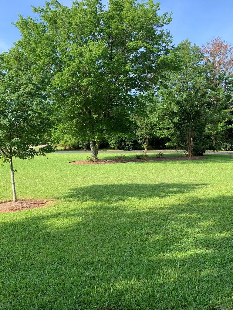 3386 Martintown Road Edgefield, SC 29824 - Photo 2 of 15