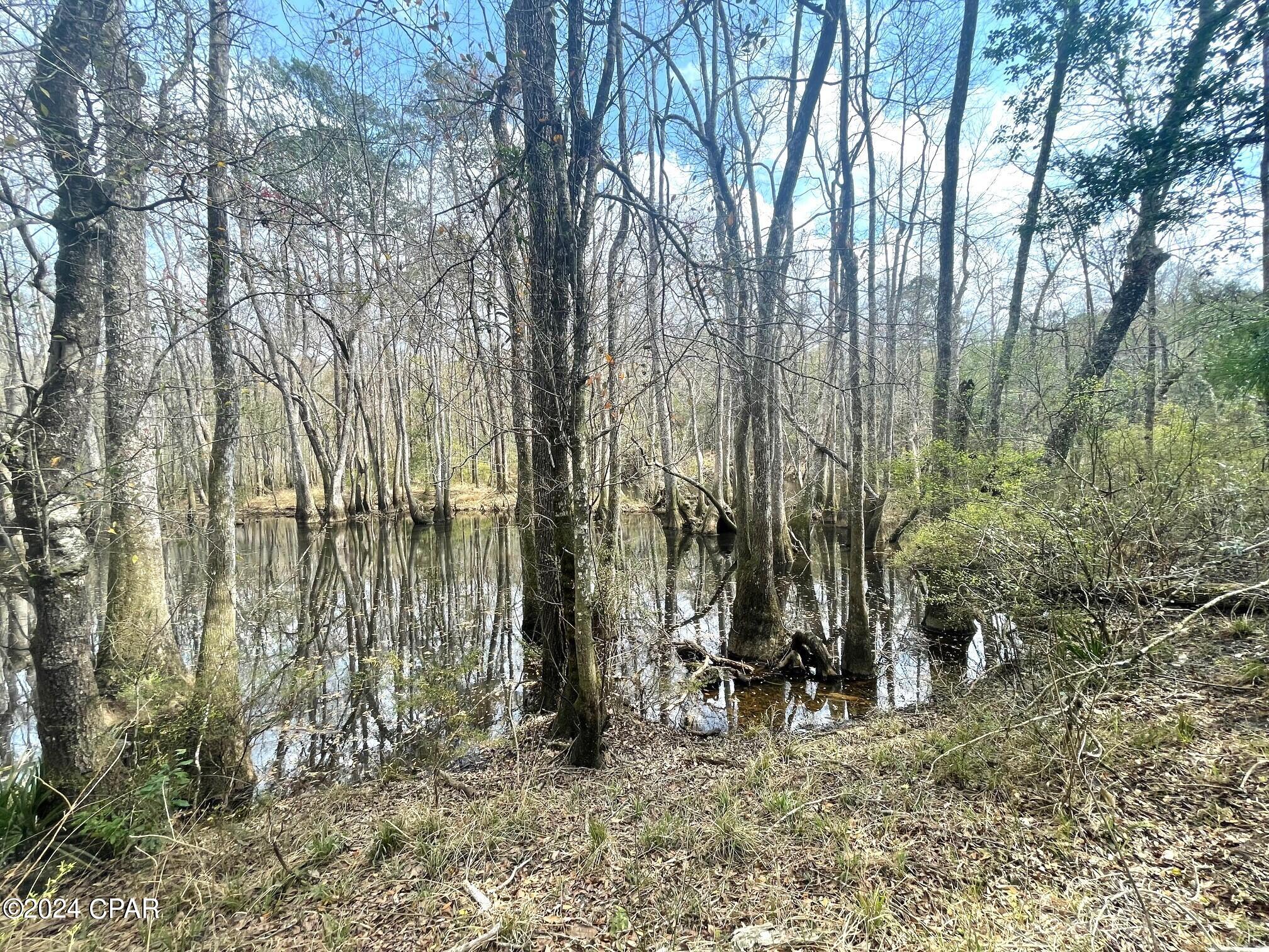 335-acres R M Ward Road Ponce de Leon, FL 32455 - Photo 31 of 37 Gallery Image 31