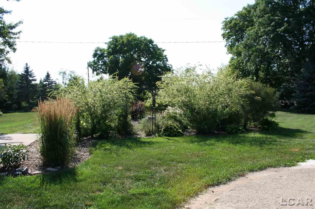 7348 Riga Highway Riga, MI 49276 - Photo 51 of 54 31299389-51.JPG