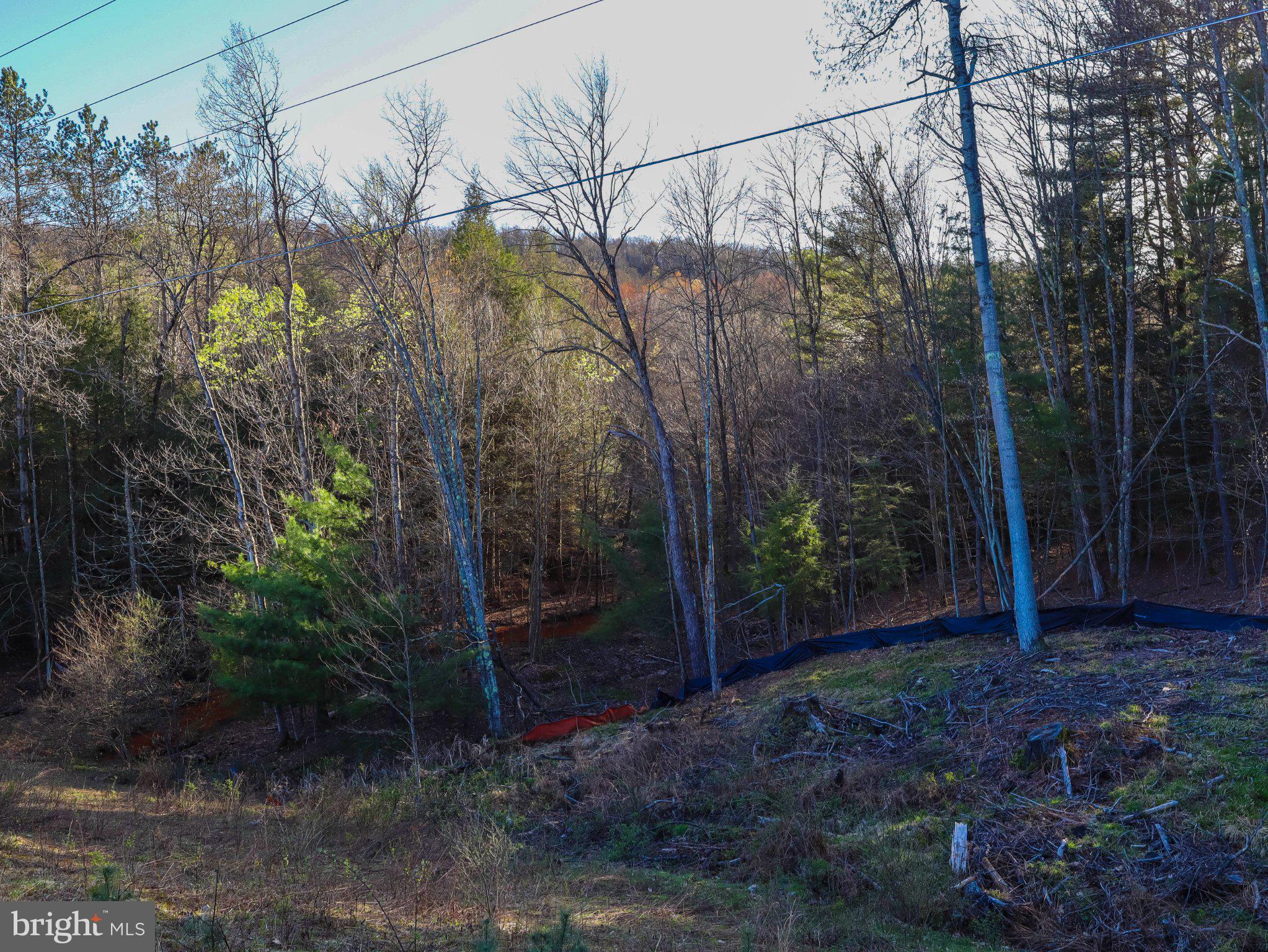 7 Twin Lakes Road Brackney, PA 18812 - Photo 26 of 36 Gallery Image 26