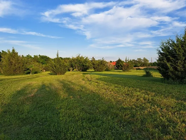 a view of a field with an trees