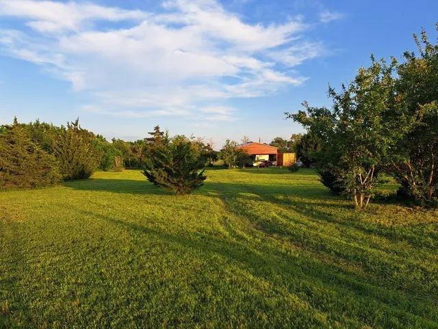 a view of a grassy field with an trees