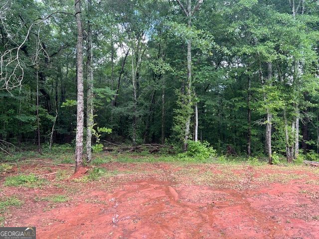 1757 Pineview Road Griffin, GA 30223 - Photo 14 of 16