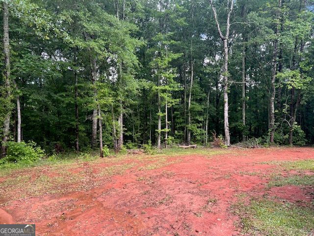 1757 Pineview Road Griffin, GA 30223 - Photo 15 of 16