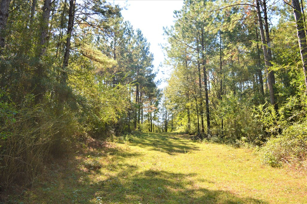... Chester Reeves Road McComb, MS 39648 - Photo 11 of 17 Photo 11