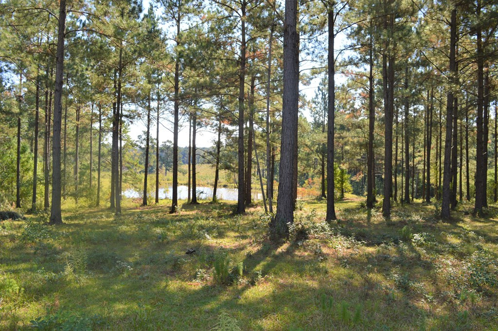 ... Chester Reeves Road McComb, MS 39648 - Photo 13 of 17 Photo 13