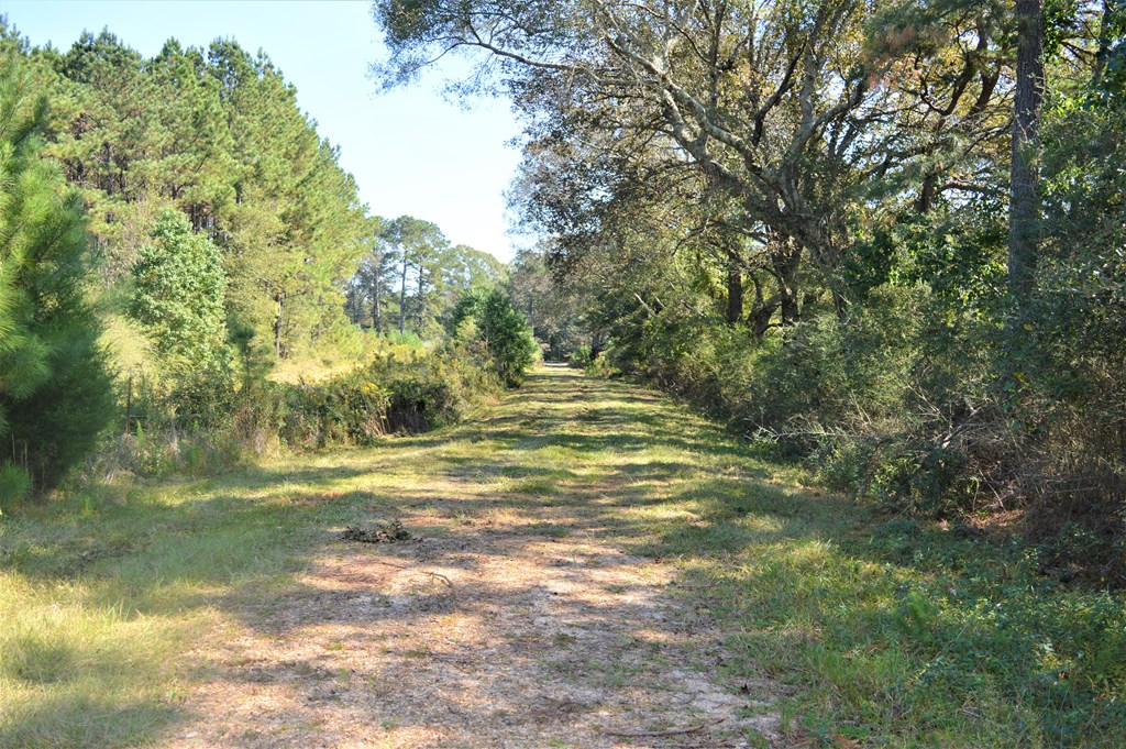 ... Chester Reeves Road McComb, MS 39648 - Photo 2 of 17 Photo 2